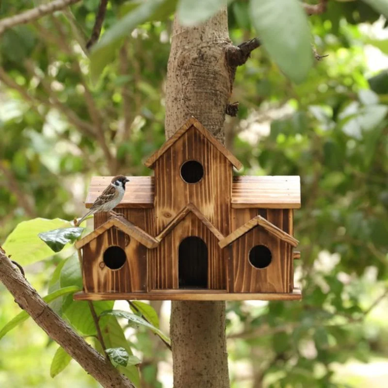Abri de nidification pour oiseau - Image 3