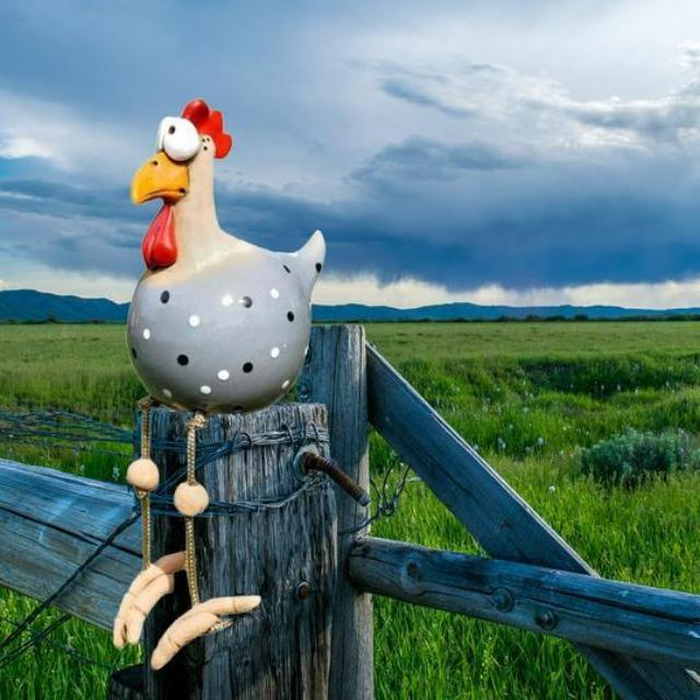 ChickCharm - Poule de jardin animée ChickCharm - Image 7