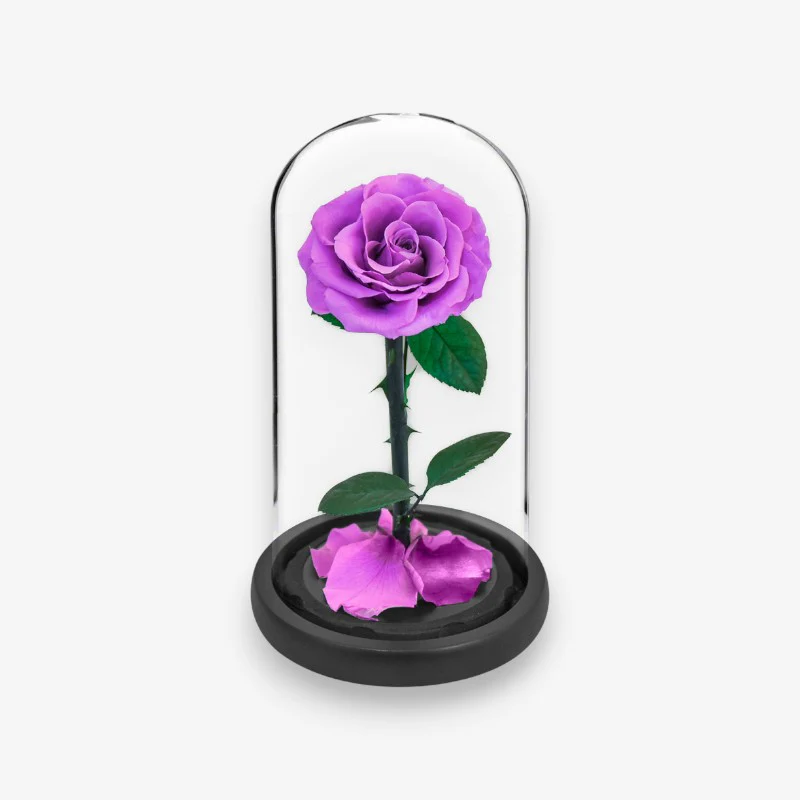 Rose naturelle stabilisée sous cloche en verre - Image 3