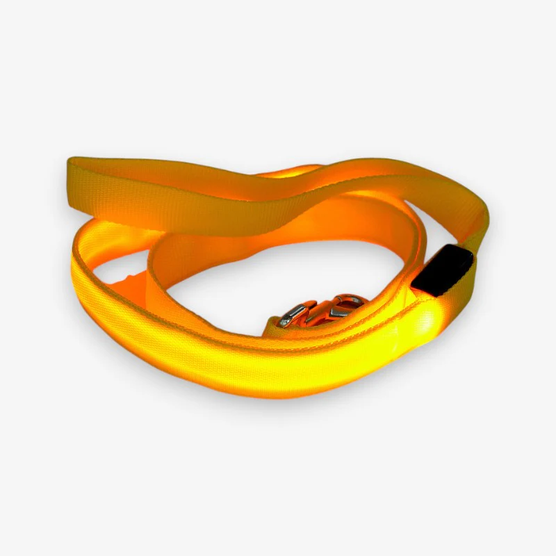 Laisse chien LED rechargeable USB - Image 3