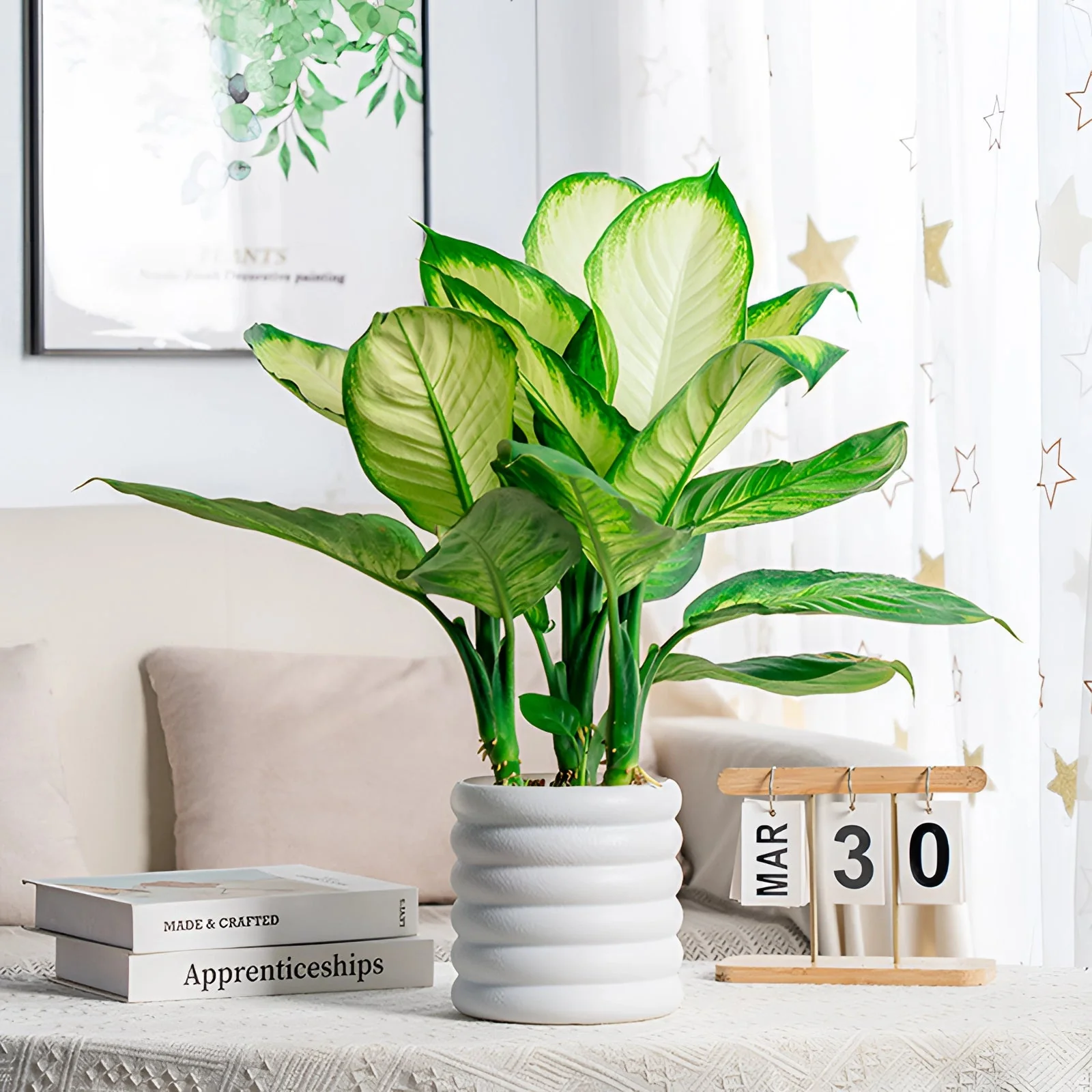 Jardinière d'intérieur élégante pour une présentation polyvalente des plantes - Image 2