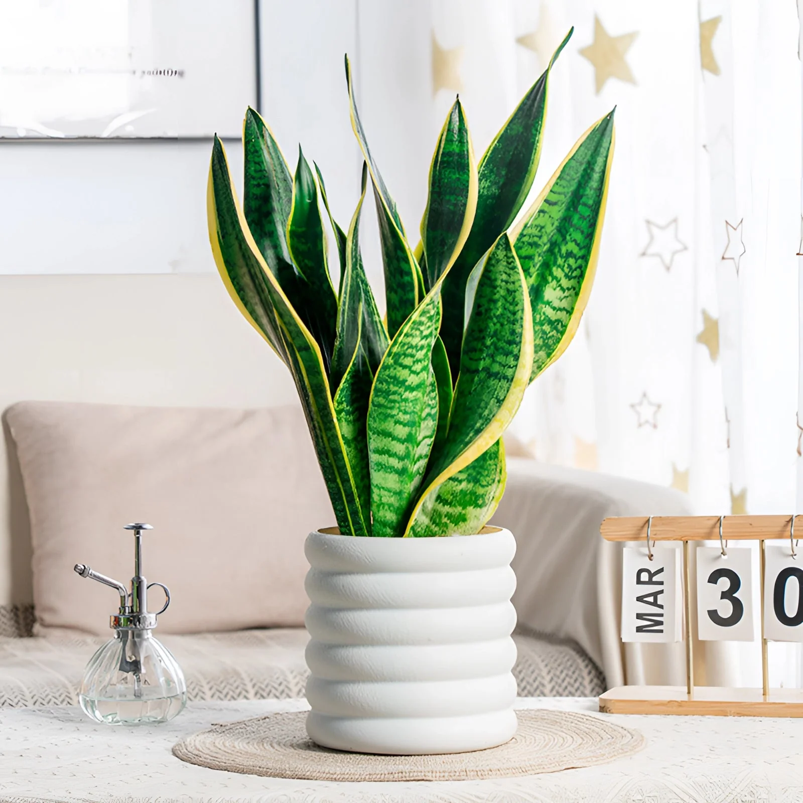 Jardinière d'intérieur élégante pour une présentation polyvalente des plantes - Image 3