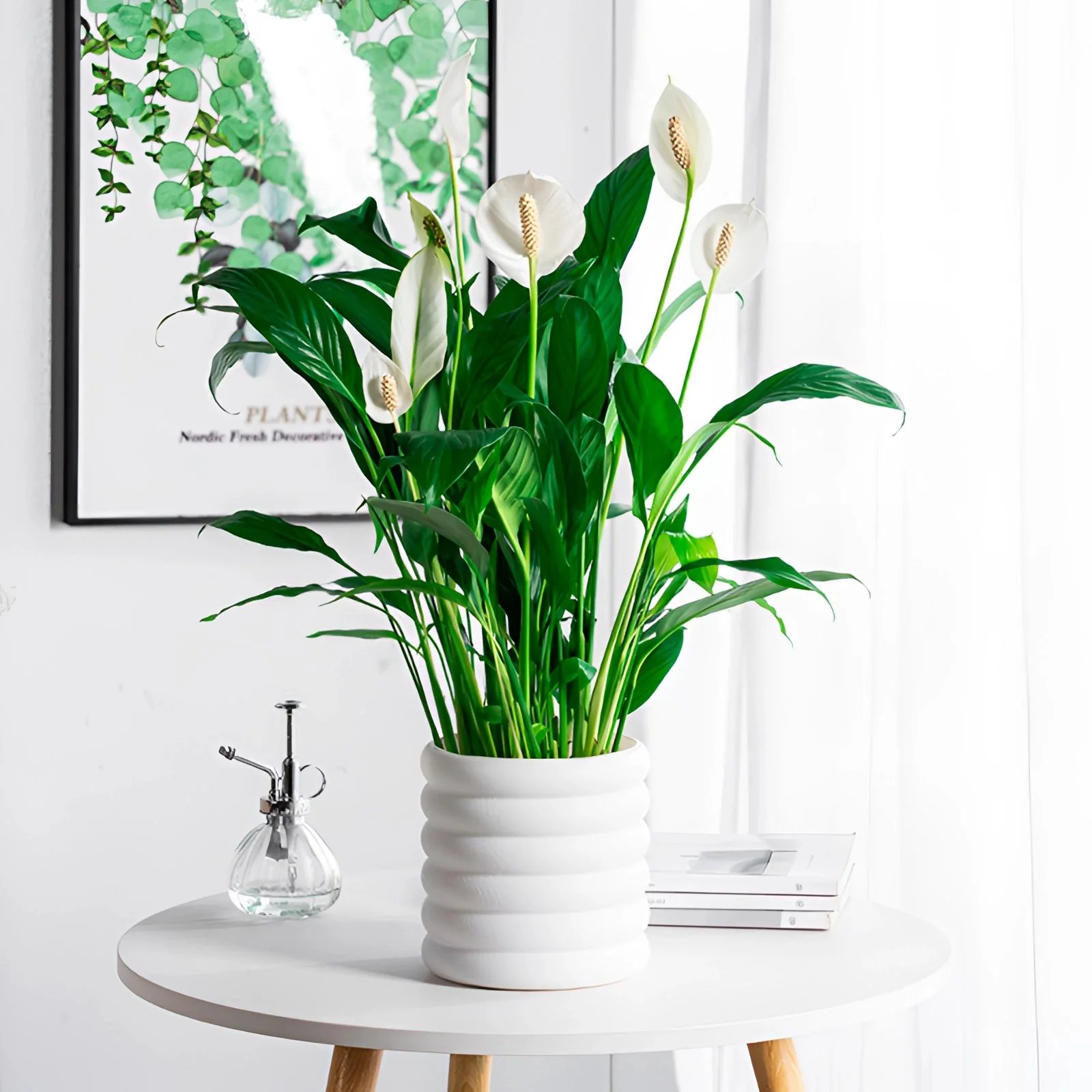 Jardinière d'intérieur élégante pour une présentation polyvalente des plantes - Image 4