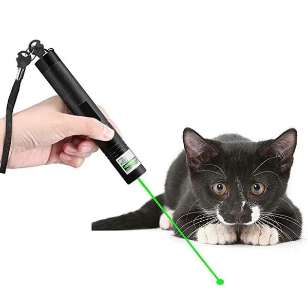 Pointeur laser vert haute précision - Image 4