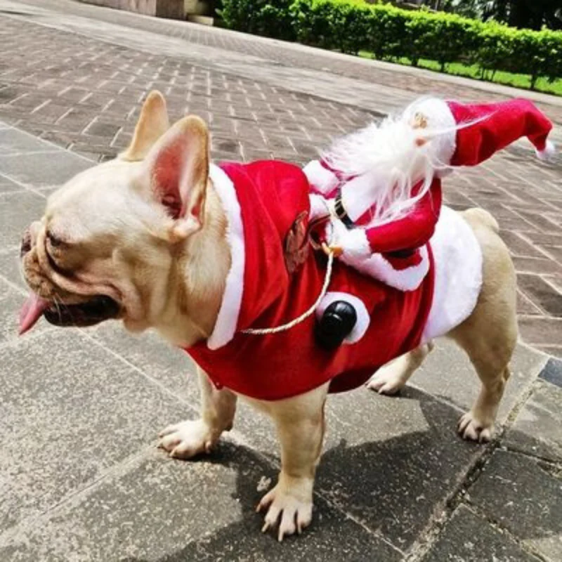 Vêtement pour chien style Père Noël - Image 5