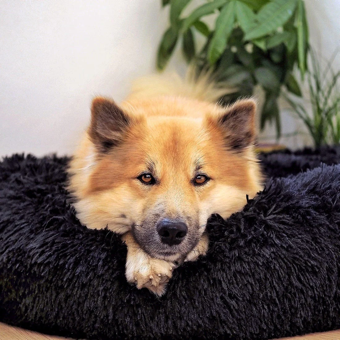 PawPeace - Lit apaisant pour chien en fausse fourrure - Image 4