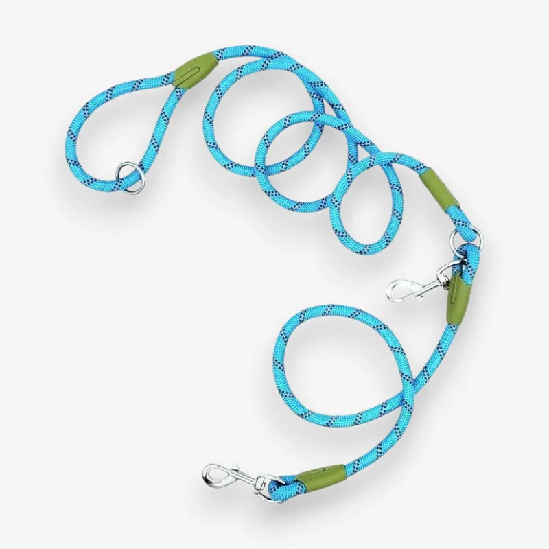 Laisse mains libres pour chien avec ceinture réglable