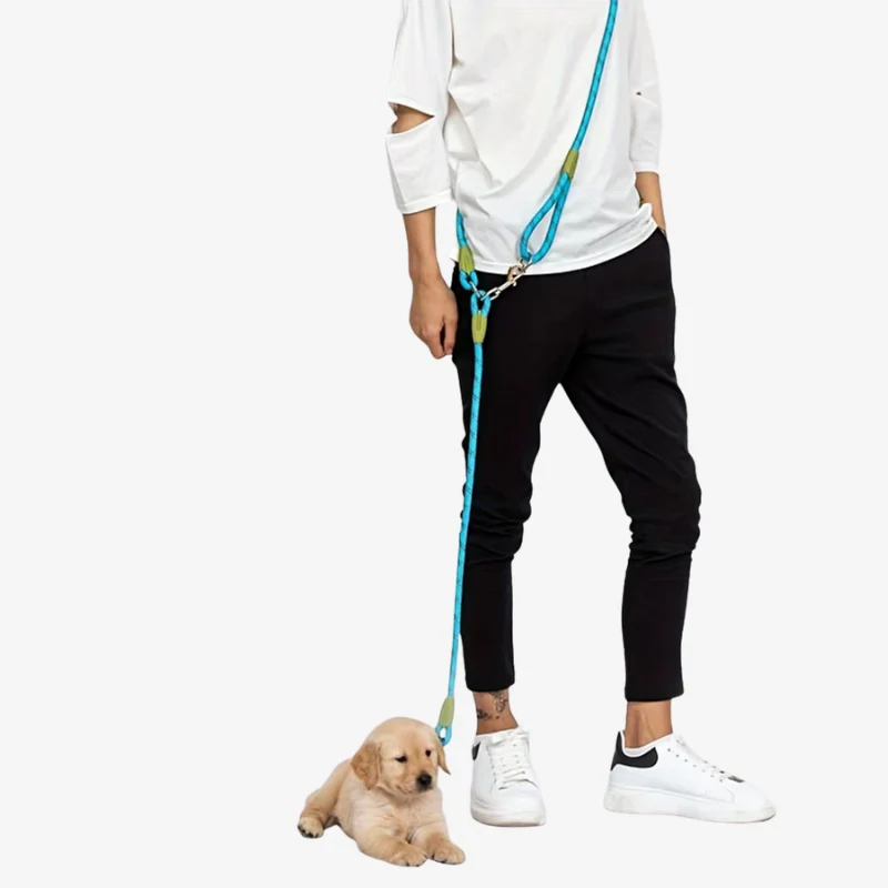 Laisse mains libres pour chien avec ceinture réglable - Image 10