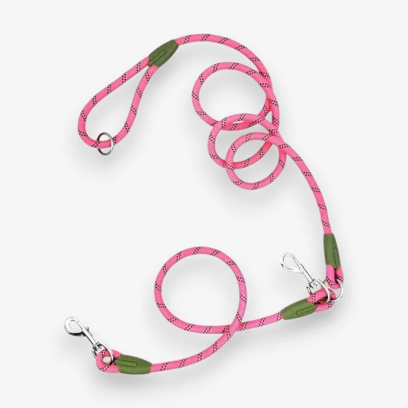 Laisse mains libres pour chien avec ceinture réglable - Image 2
