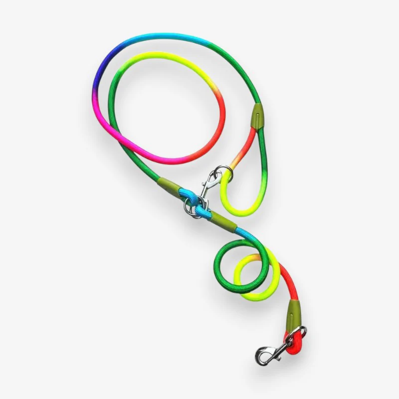 Laisse mains libres pour chien avec ceinture réglable - Image 3