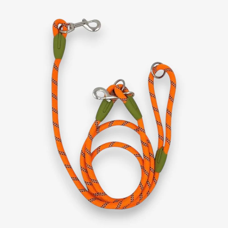Laisse mains libres pour chien avec ceinture réglable - Image 4