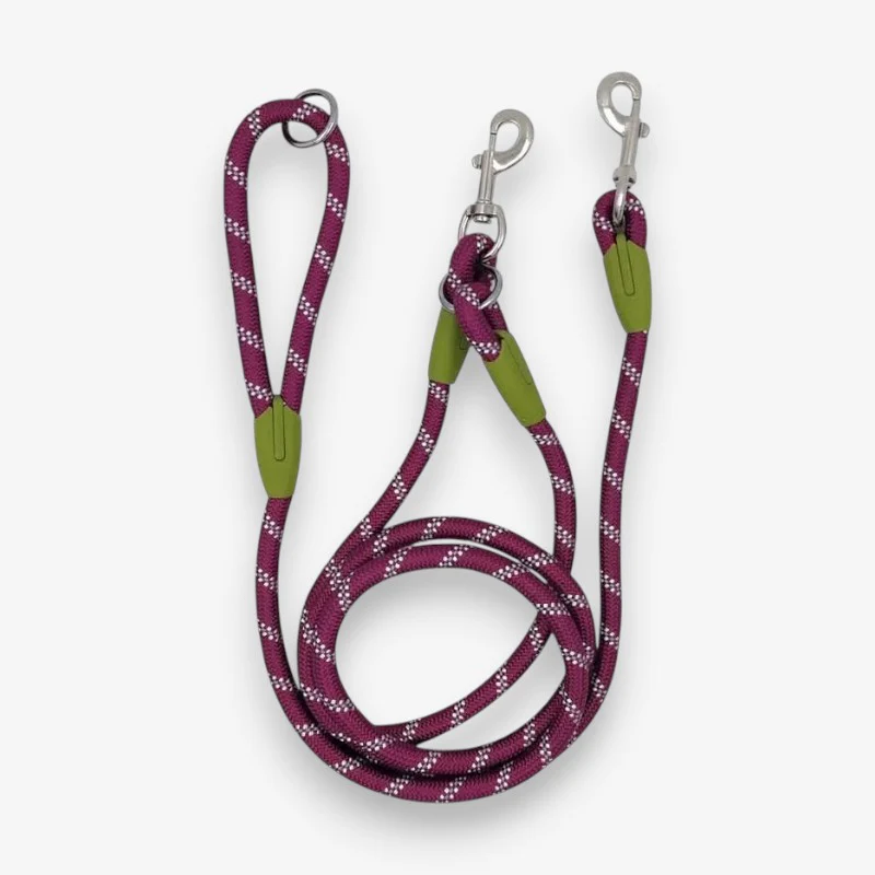 Laisse mains libres pour chien avec ceinture réglable - Image 5