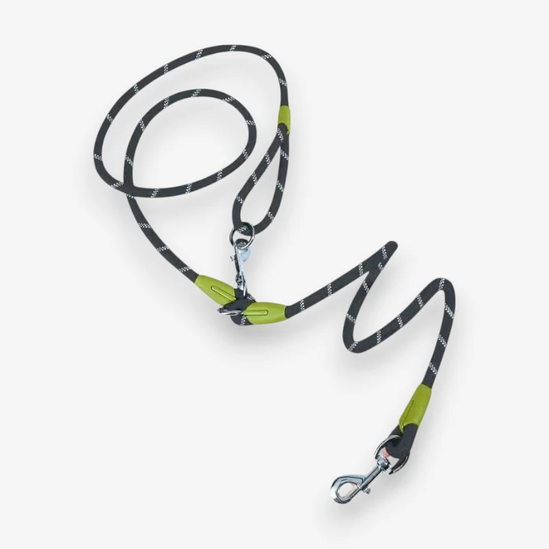 Laisse mains libres pour chien avec ceinture réglable - Image 6