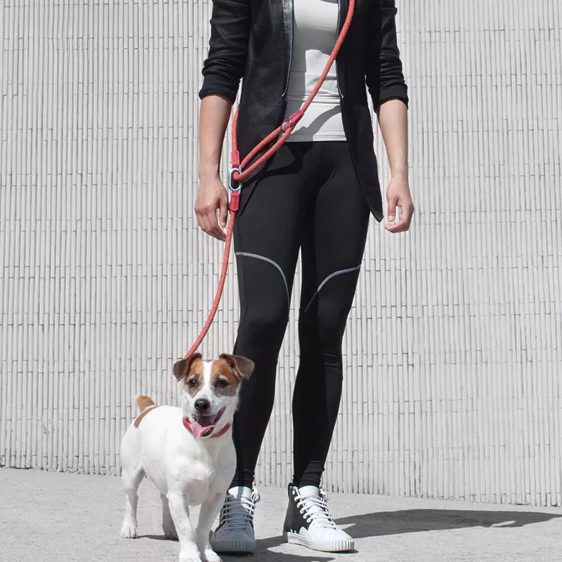 Laisse mains libres pour chien avec ceinture réglable - Image 8